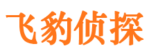 分宜寻人公司